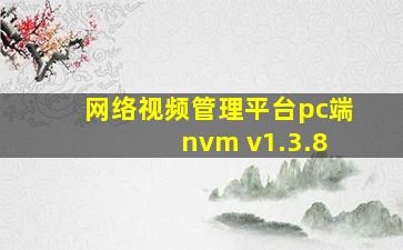 网络视频管理平台pc端 nvm v1.3.8